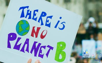 Ecocidio: un crimine contro l’ambiente