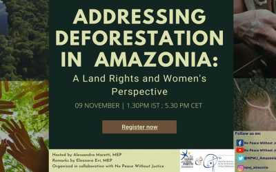 Addressing Deforestation in Amazonia. A Land Rights and Women’s Perspective
