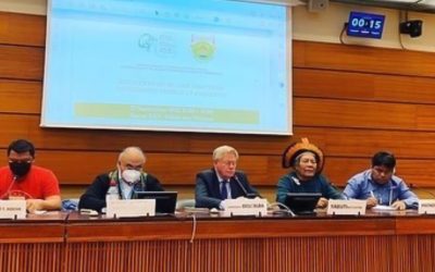 Situation of Human Rights of Indigenous People in Amazonia