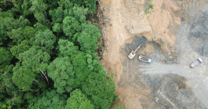 record-deforestation-in-amazonia