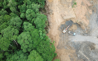Record deforestation in Amazonia: action needed!