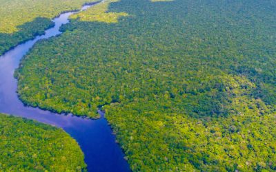No impunity for Amazonia’s devastation