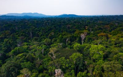 International Day of the World’s Indigenous People