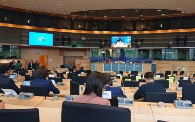 Parliamentary Hearing on scale of UAE foreign lobbying & influence network in EU
