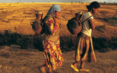 Sexual and Gender Based Violence in armed conflict