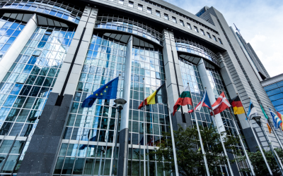NPWJ addresses EP before debate on Qatargate to make clear it has never been incriminated nor even investigated