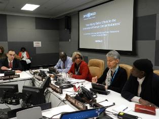 NPWJ contributes to UN DPI Briefing on “Intensifying Global Efforts for the Elimination of Female Genital Mutilations”