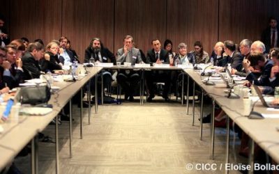 NPSG, HRW e ESDF organizzano un evento parallelo su “Opzioni di responsabilità penale in Siria”