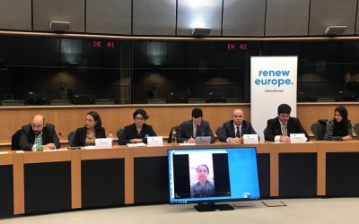 Conclusions of the Conference “Child victims of the Gulf’s proxy wars in the Middle East”