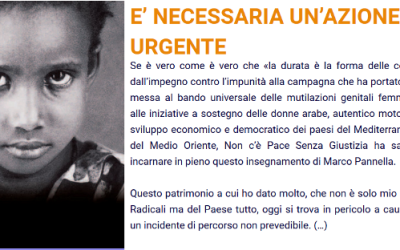 Sostieni Non c’è Pace Senza Giustizia e le sue campagne per la difesa dei diritti umani nel mondo