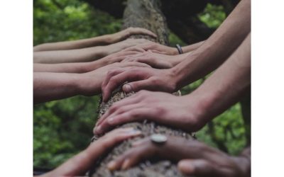 International Mother Earth Day: let’s protect our environment and safeguard our human rights